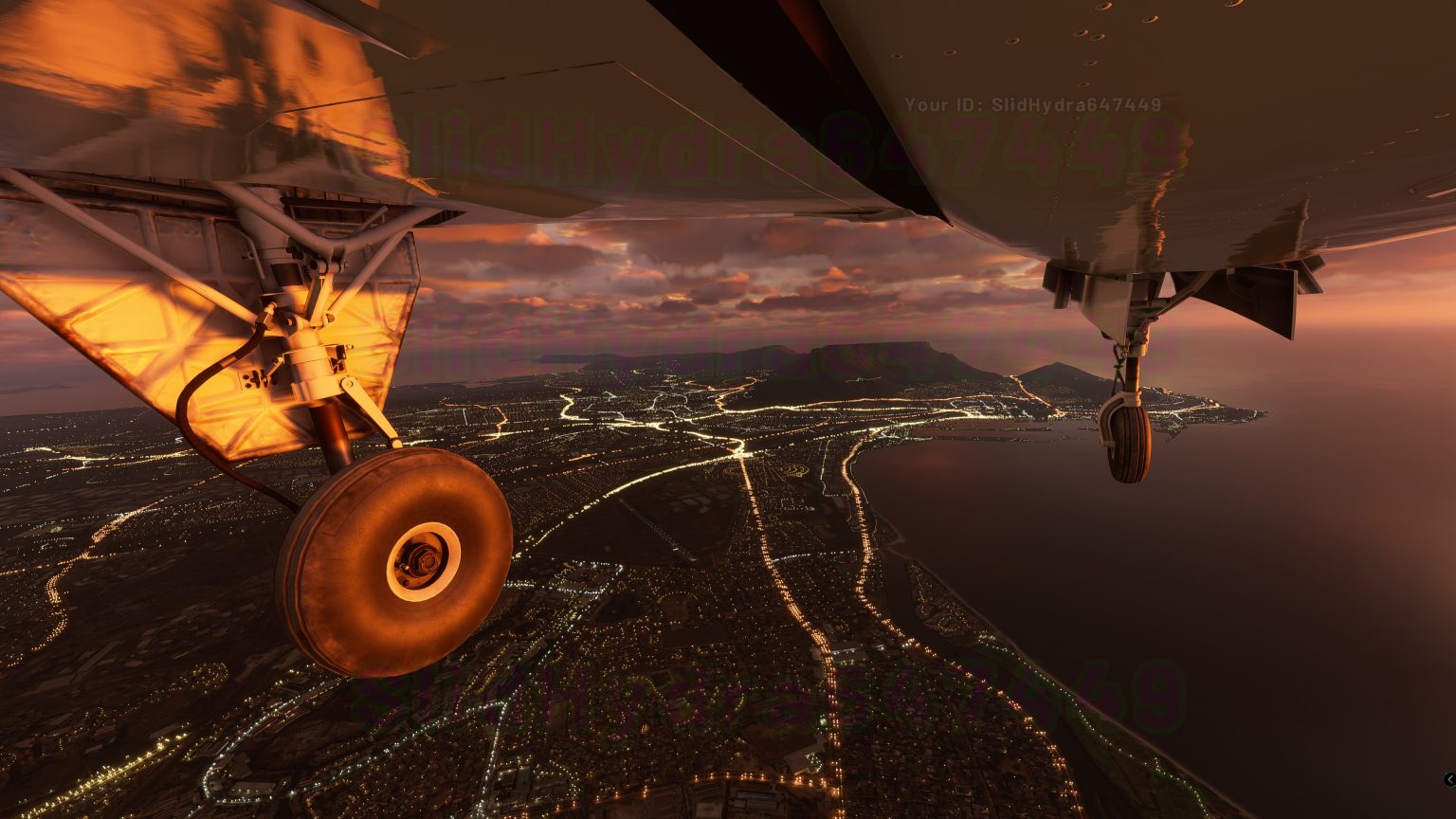 microsoft flight simulator 2020.jpeg